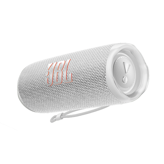 JBL Flip 6